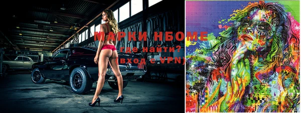 шишки Ростов