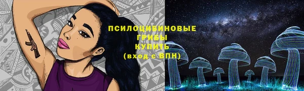 шишки Ростов