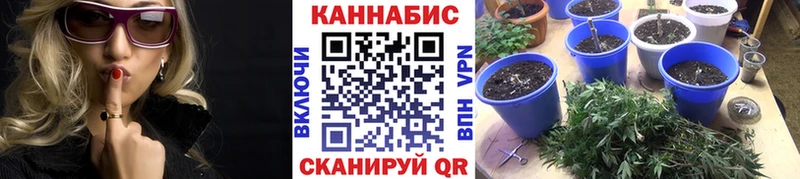 Шишки марихуана Amnesia  Купить закладки  Торжок 